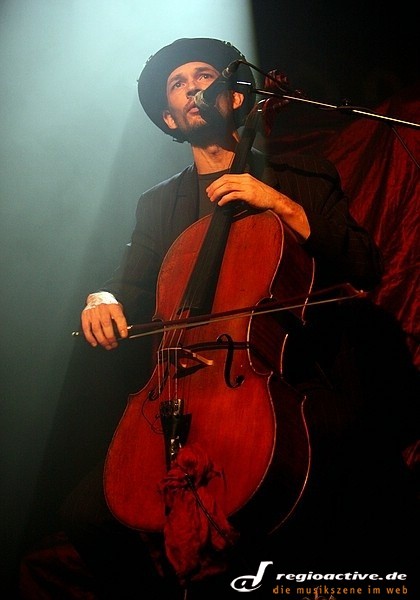 Cellolitis (live im Kammgarn, 2012)